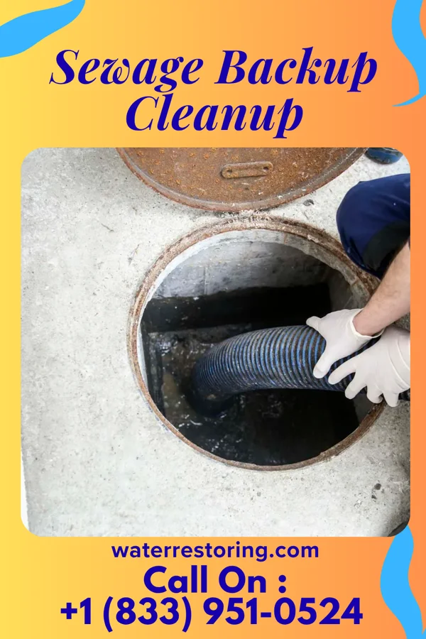 Sewage Backup Cleanup in Malta, IL