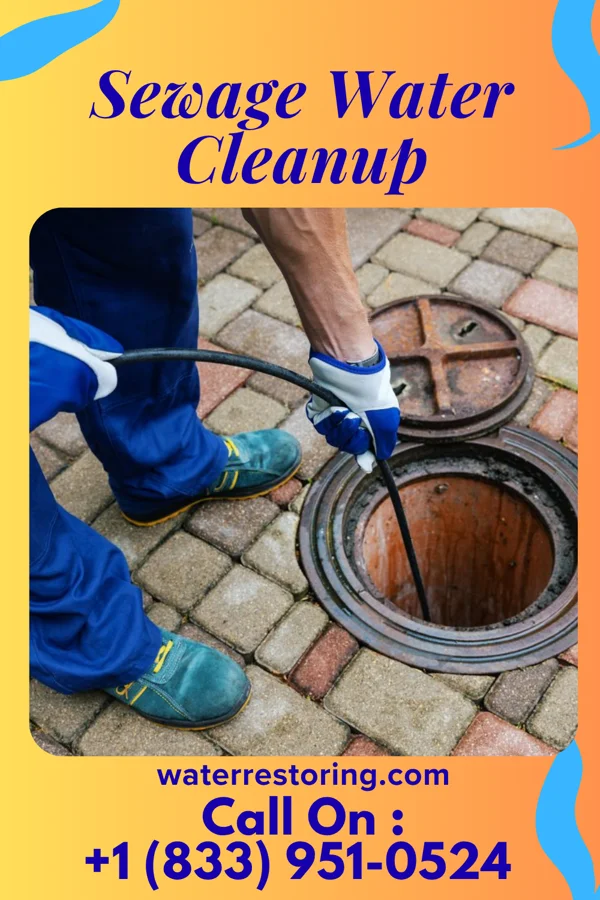 Sewage Water Cleanup in Malta, IL